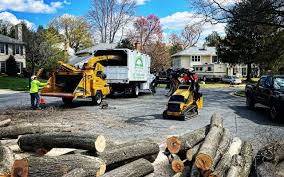 Lake Dalecarlia, IN Tree Care  Company